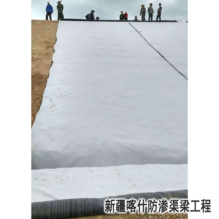 新(xin)疆喀什防滲渠(qú)梁工程